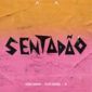 Baixar Música Sentadão Pedro Sampaio (Part. Felipe Original e JS O Mão de Ouro) - Download Gratis